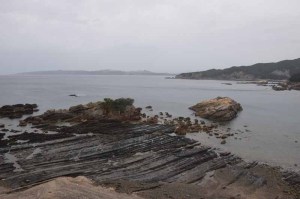 椿海水浴場付近の磯