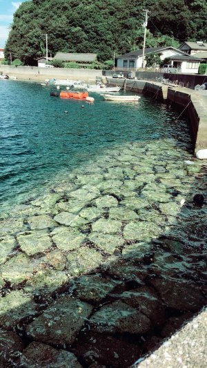 宇和島市下波付近